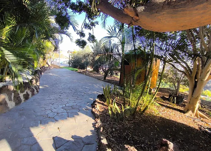 Alpehytte Veronica *