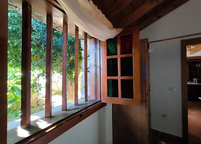 Veronica Alpehytte Candelaria