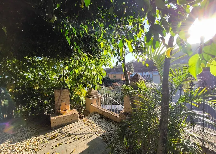 Verónica Chalé Candelaria